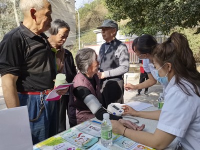 社会经济咨询服务 推动发展与优化决策的重要桥梁